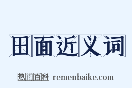 田面近义词是什么意思的图片